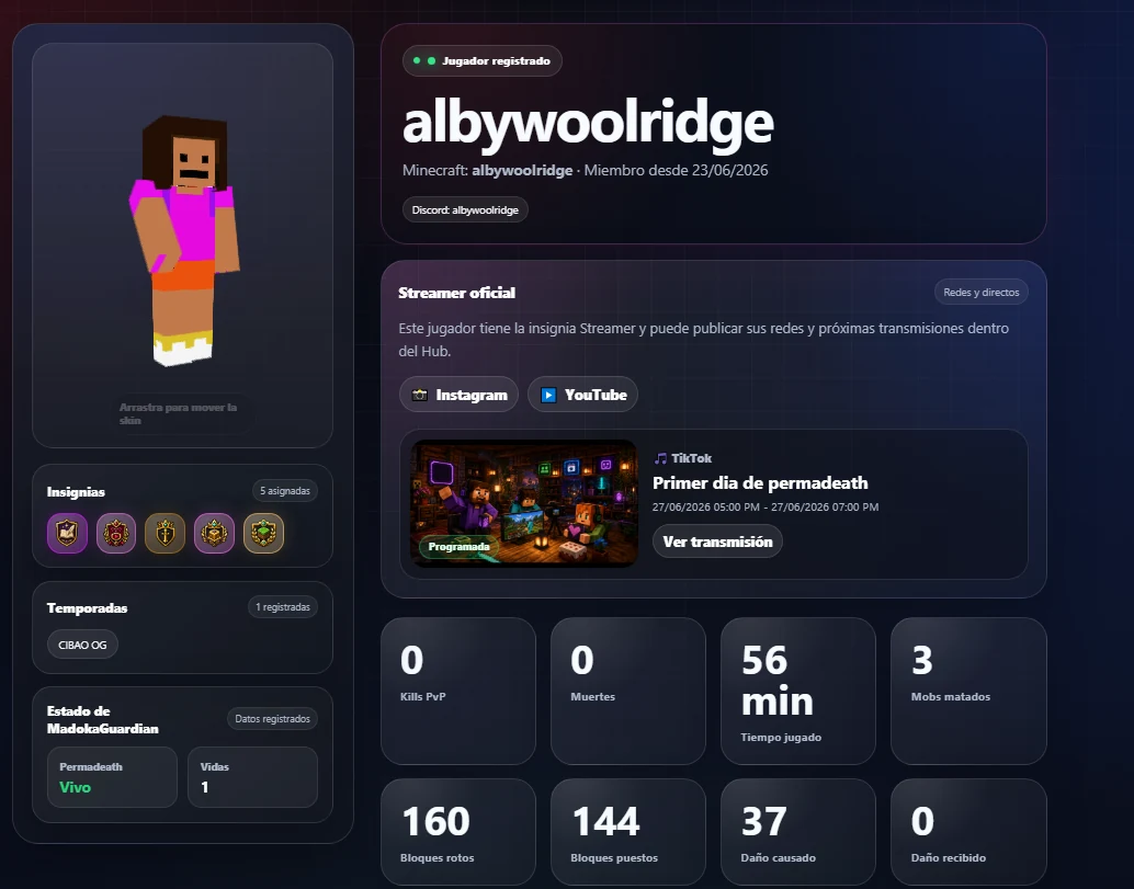 Ejemplo de perfil Streamer con transmisión programada
